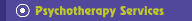 Psychotherapy Services
